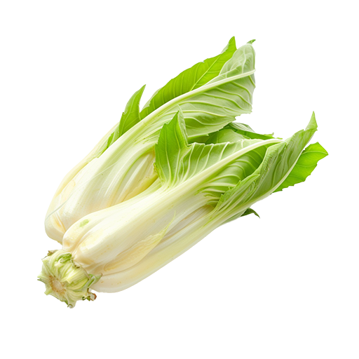 Dein Rezept mit Chicorée