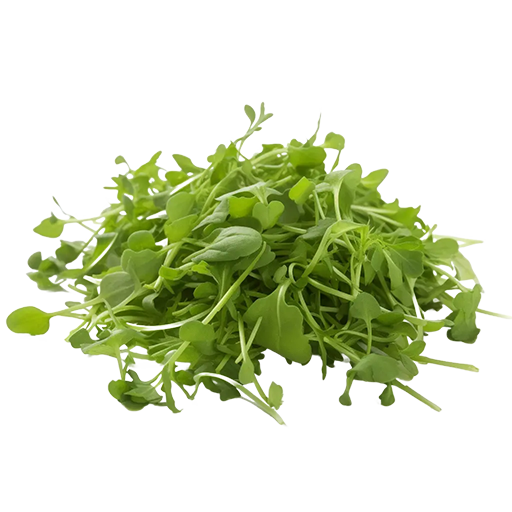 Dein Rezept mit Rucola